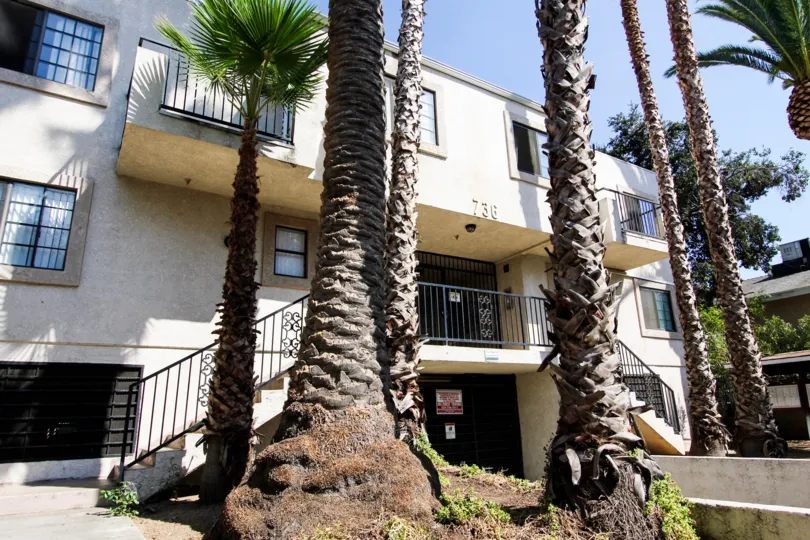 The trees in front of 720 N Garfield Ave in Pasadena, California