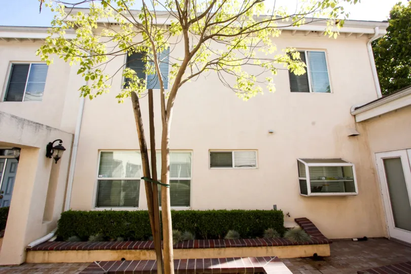 The hedges around the building at 82 Virginia Ave