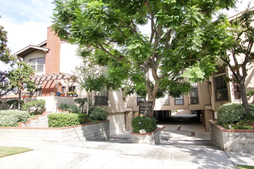 The trees around 832 Magnolia Ave