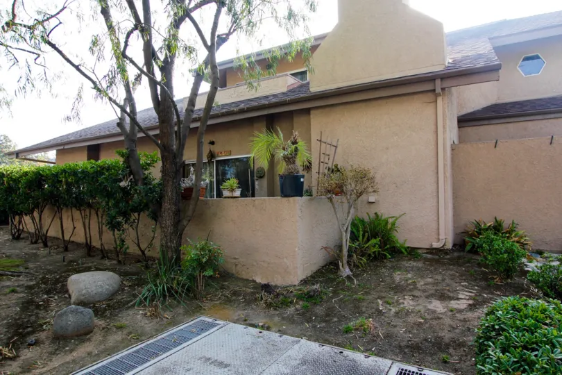 The plants around the units in 87 S Allen Ave