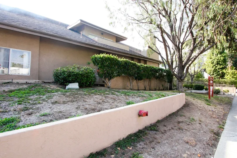The yard in front of 87 S Allen Ave in Pasadena, California
