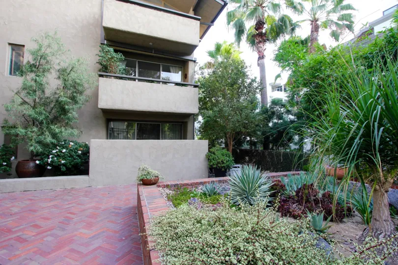 The landscaping around 960 San Pasqual St in Pasadena, California