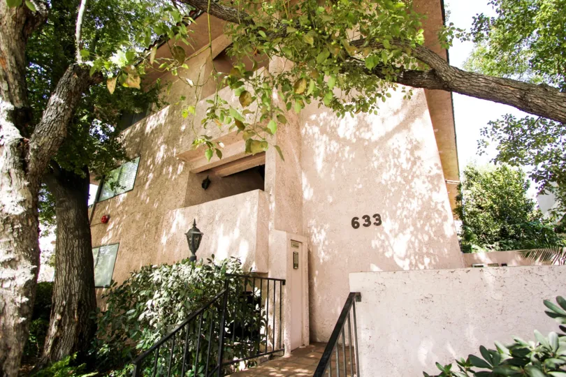 The trees around Casa Torre in Pasadena, California