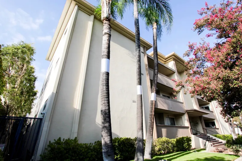 The trees around the Cordova Arms in Pasadena, California
