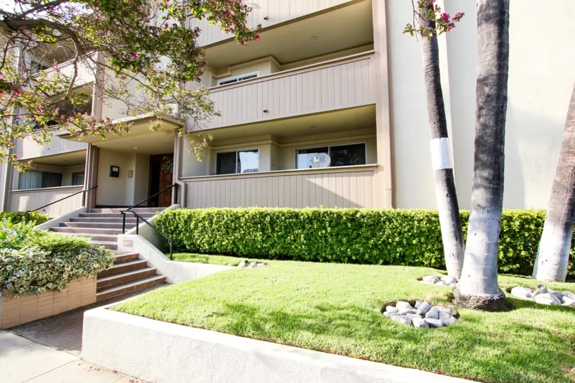 The hedges around the Cordova Arms building