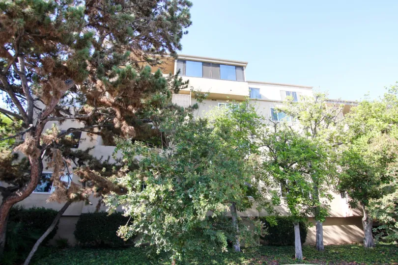The landscaping around the Cordova East building