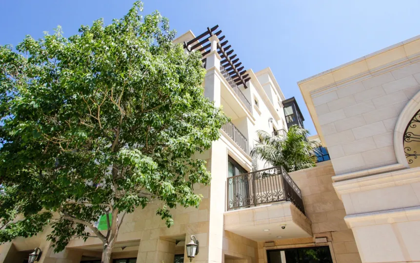 The trees around De Lacey Place in Pasadena, California