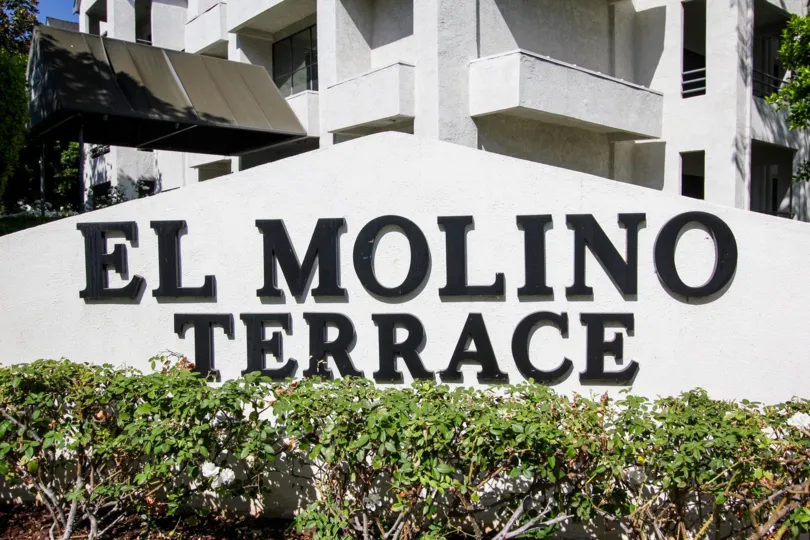 The bushes seen in front of the sign in El Molino Terrace