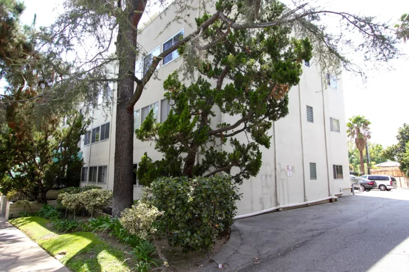 The trees around the Hastings Towers