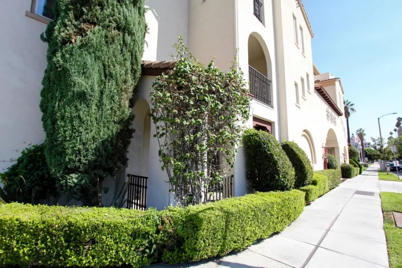 The hedges lining the Hertiage Walk building