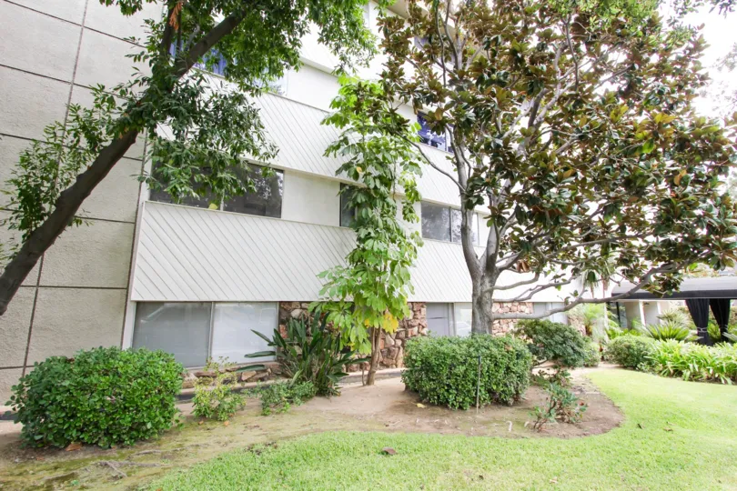 The yard in front of Los Robles Condominiums