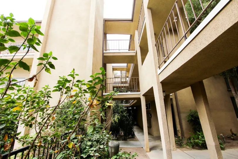 The terrace seen at Los Robles South