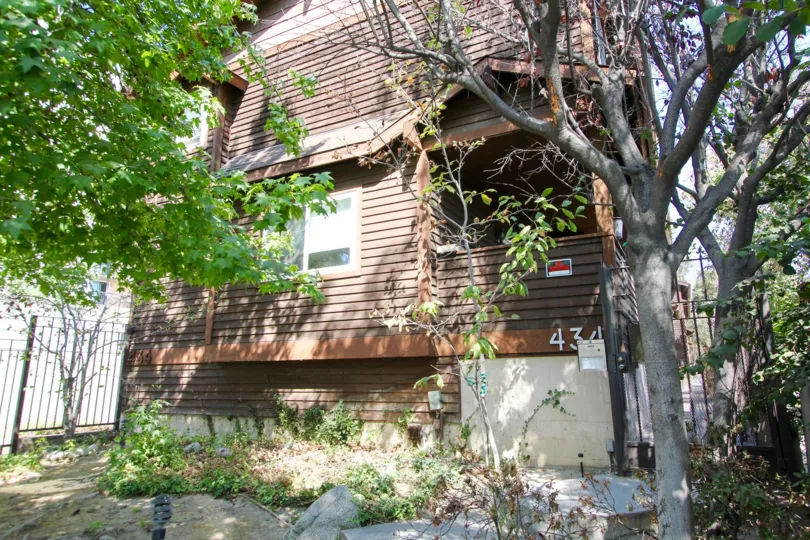 The trees around Oakland Condominiums in Pasadena, California