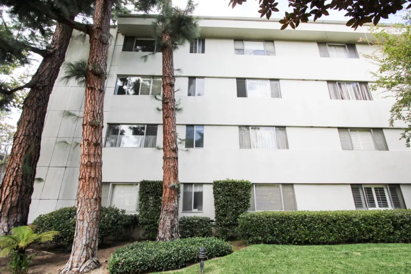 The trees around Oakland Towers North