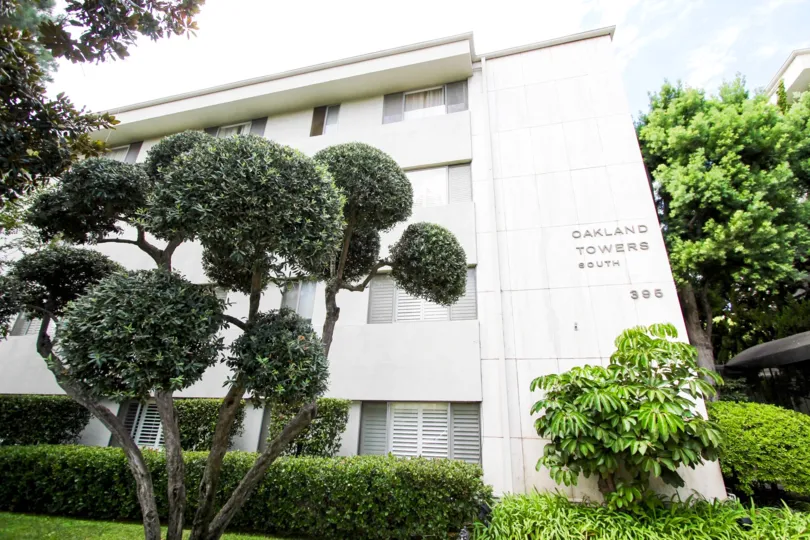 The trees in front of Oakland Towers South