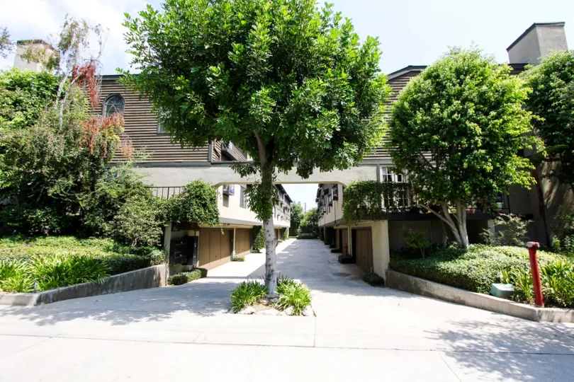The trees around Oaks Townhomes