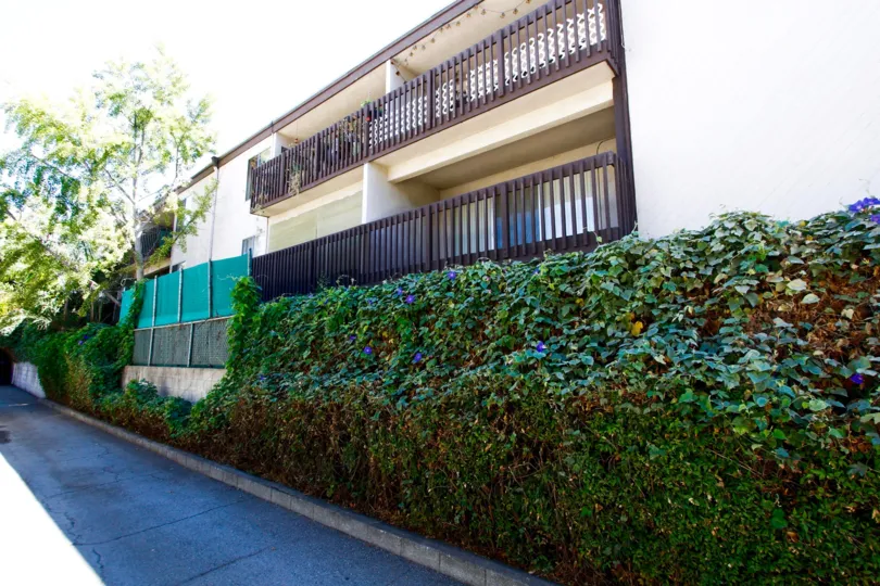 The hedges around the Parkwood Place