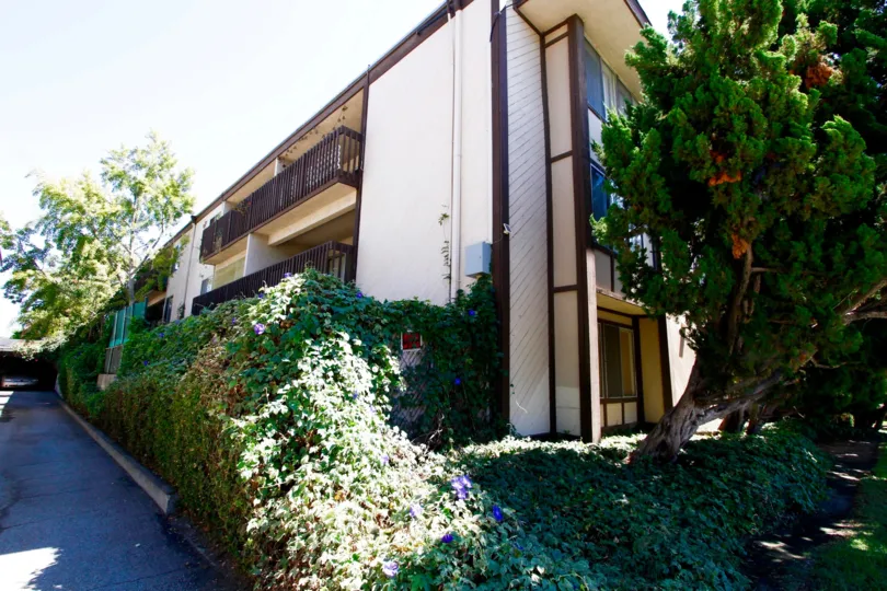 The bushes alongside the Parkwood Townhomes building