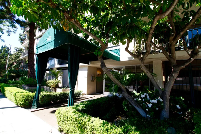 The hedges around the walkway up to the Regency Del Mar