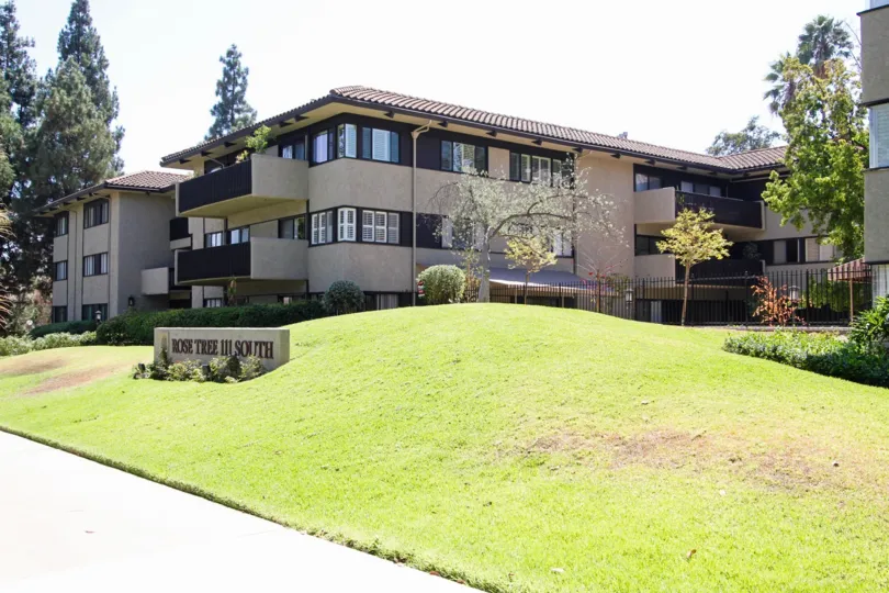 The yard in front of the Rose Tree building