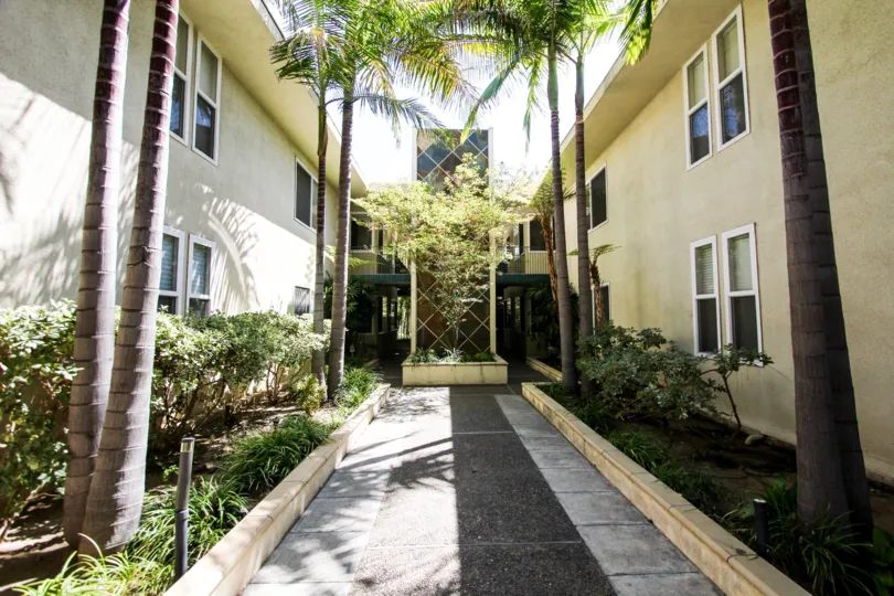 The sidewalk up to Sutton House