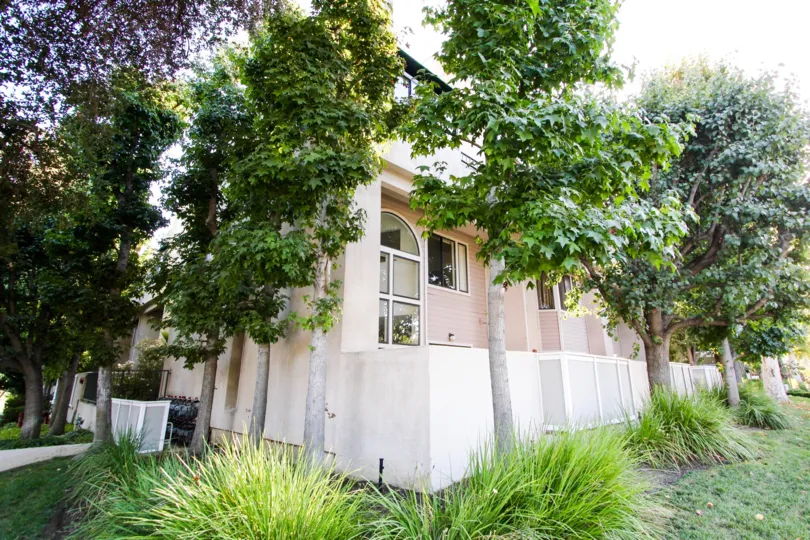 The trees seen around The Groves of Pasadena located in Pasadena, California