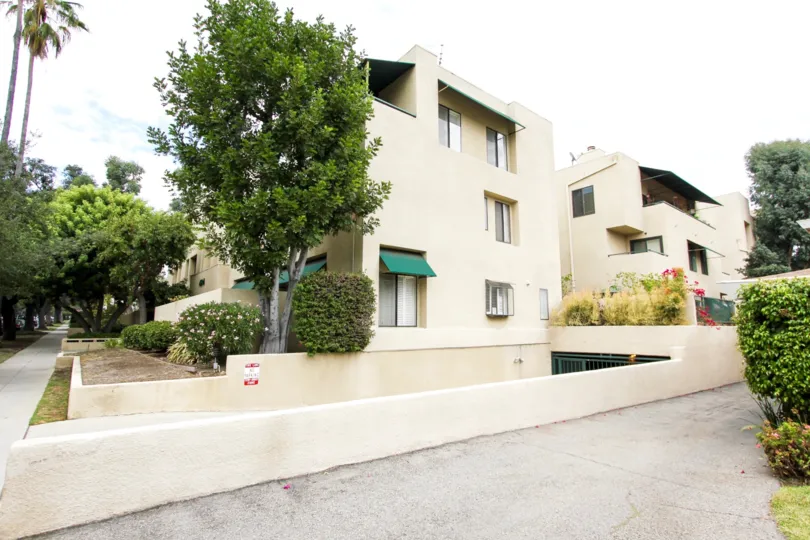 The view of Three Plams in Pasadena, California