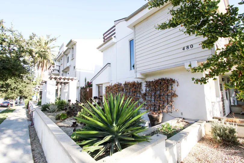 The landscaping around Villa Catalina