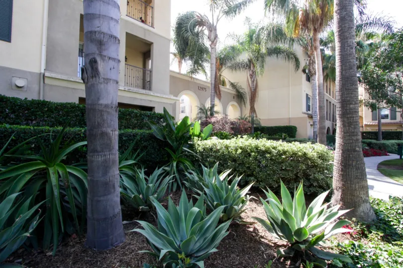 The landscaping seen around Carabela in Playa Vista