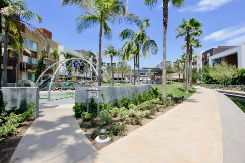 Sunny day in Street with trees surrounded it in Cleo community