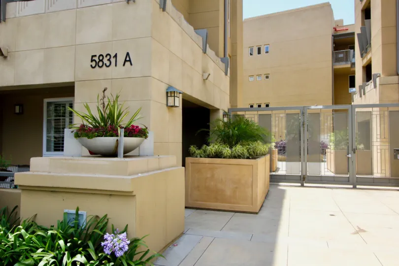 A lovely day with flowers at Paraiso in Playa Vista.