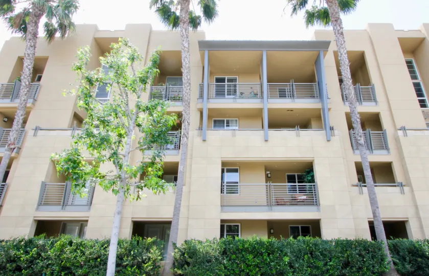 Front view of Paraiso and her amazing trees, Playa Vista, California