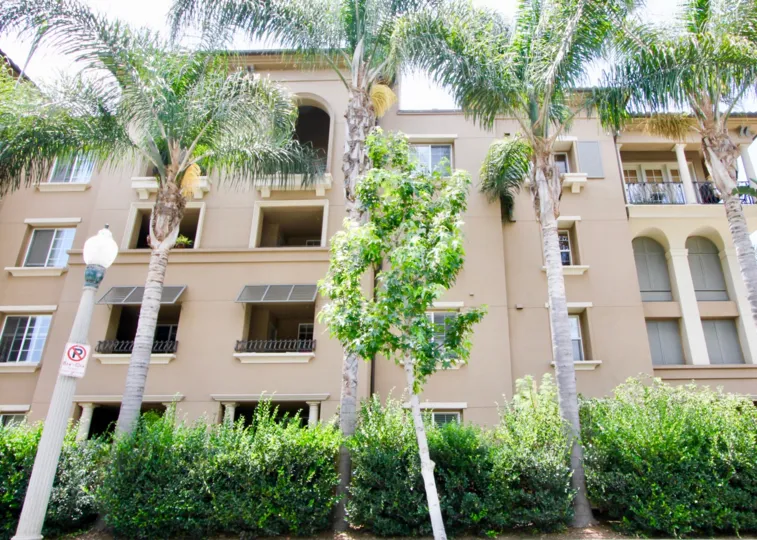 a building with trees in the front in paraiso in a sunny day