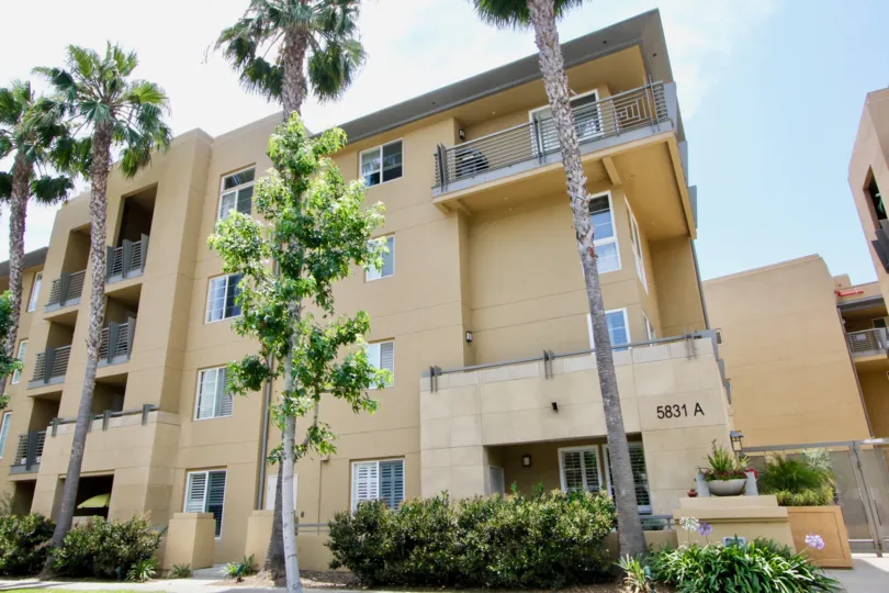 Paraiso, playa vista, California is A beautiful sky high well construct building which have elegant colour and shiny bright glass windows. Lots of green trees enhance its beauty. A sunny bright day give it an amazing look.