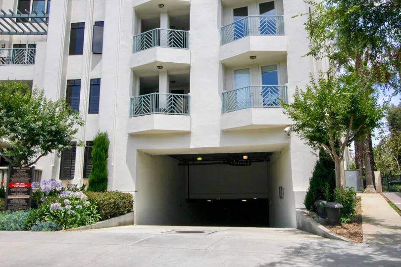 A sunny day in the The Metro with beautiful apartment and big tree infrond of apartment.