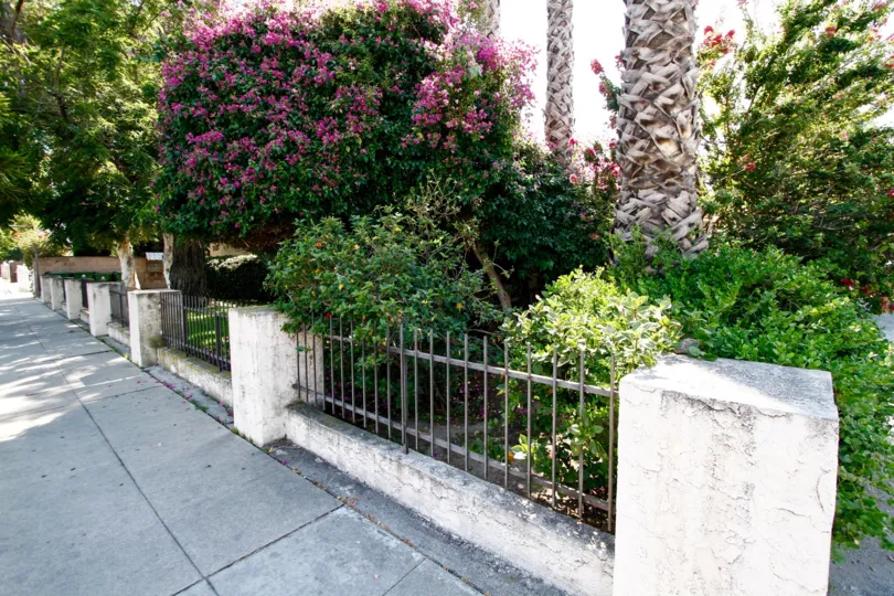 The landscaping at Patio Oaks in Reseda California