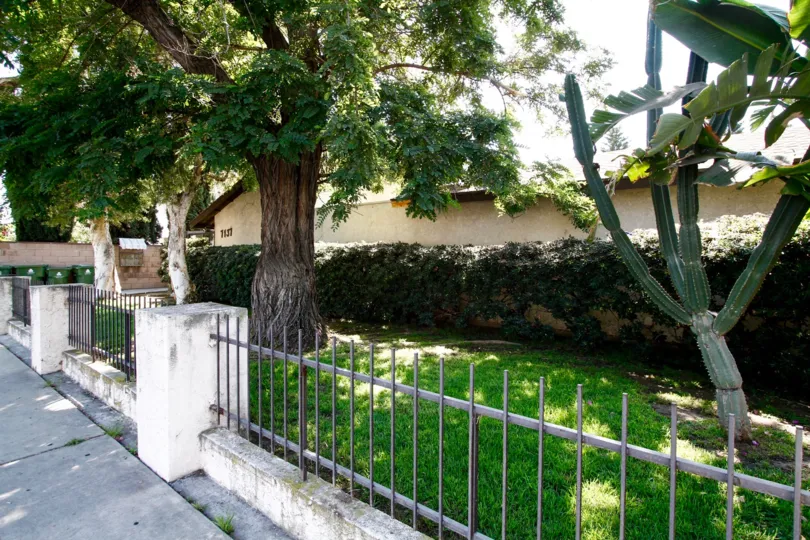 The yard around Patio Oaks