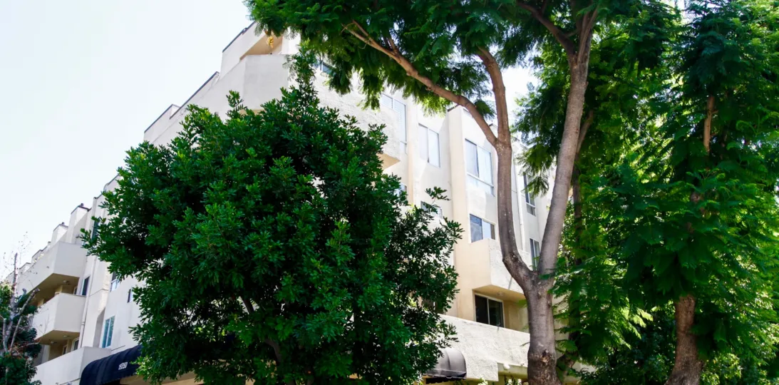 The view of Sherman Court