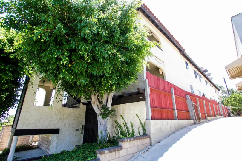 The tree at 835 W Sepulveda St in San Pedro California
