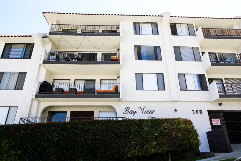 The hedges around Bay View Terraces