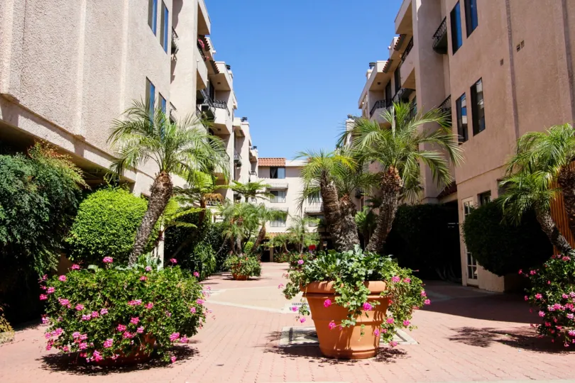The potted plants around Casa Verde Estates
