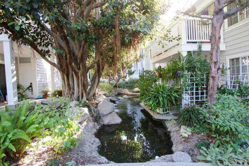 The landscaping around Ponderosa Springs