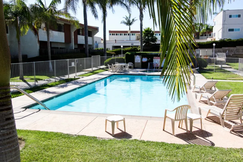 The swimming at South Shores  Club