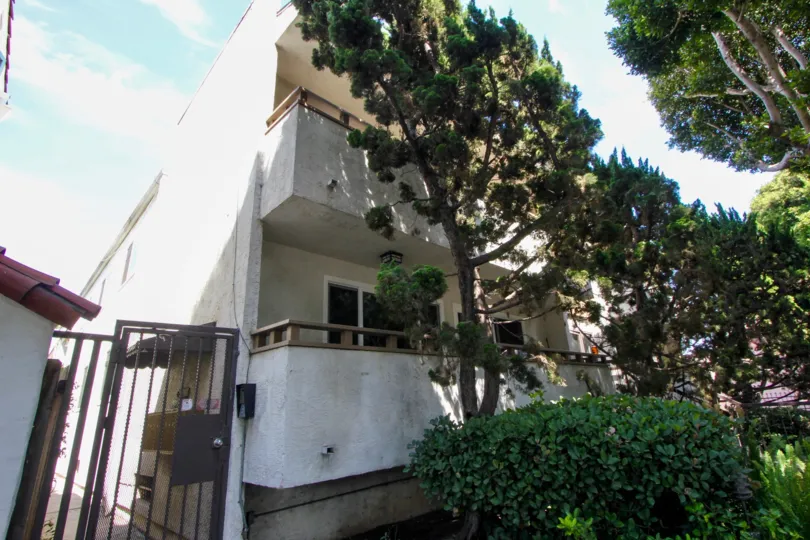 A close look at 1007 20th St, with it's green neighborhood
