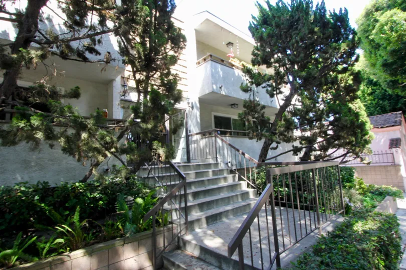 A great day in the 1007 20th St with stairs and trees.