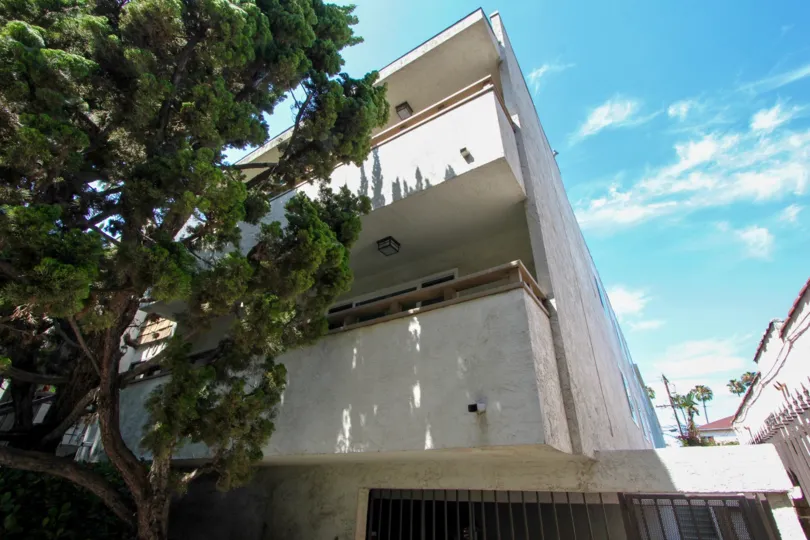Balconies facing a tree with a view of the sky at 1007 20th St in Santa Monica, CA