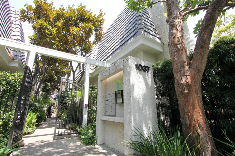 The beautiful garden lined walkway of this 16th street community