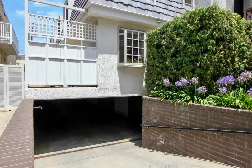 The sunny morning 1037 16th st house is looking beautiful white color and green leaves and flowers