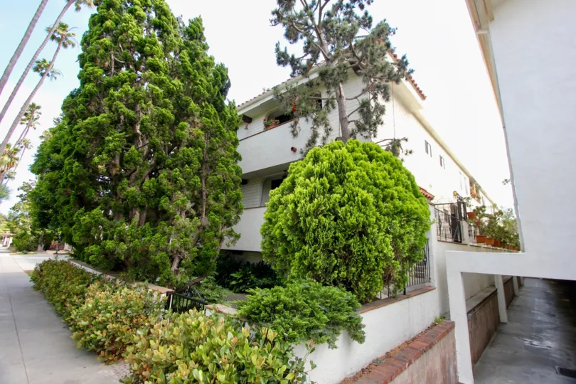 Trees in the 1130 9th St community with a house with a balcony