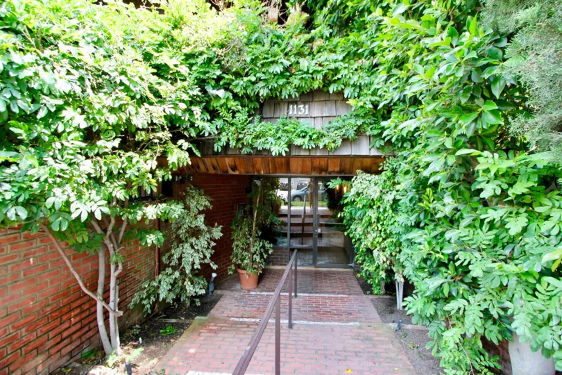 A day in the 1131 12th St with an entrance filled with plants.